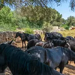 Talaia D'artrutx Villa *