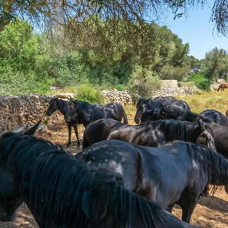 Talaia D'artrutx Villa *